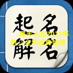 属羊人在2021年的 ☘ 全年运势如何